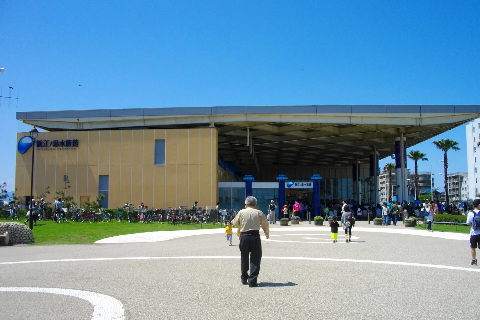 Aquarium d'Enoshima visite : le test de 3 formules