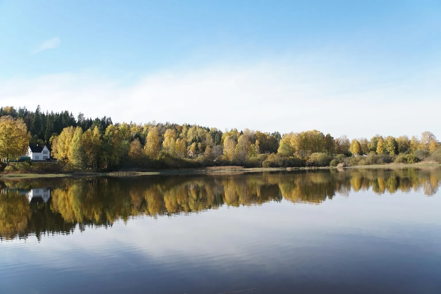Forest Lagoon : 3 options de réservation pour vos équipes