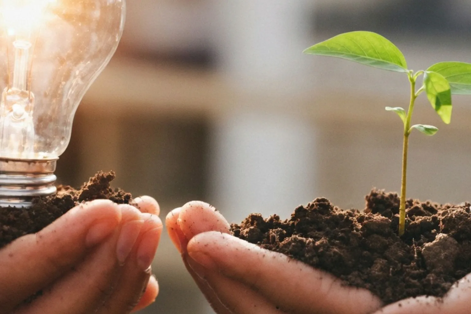 Itancia ouvre son ShowCase aux entreprises pour repenser les achats responsables