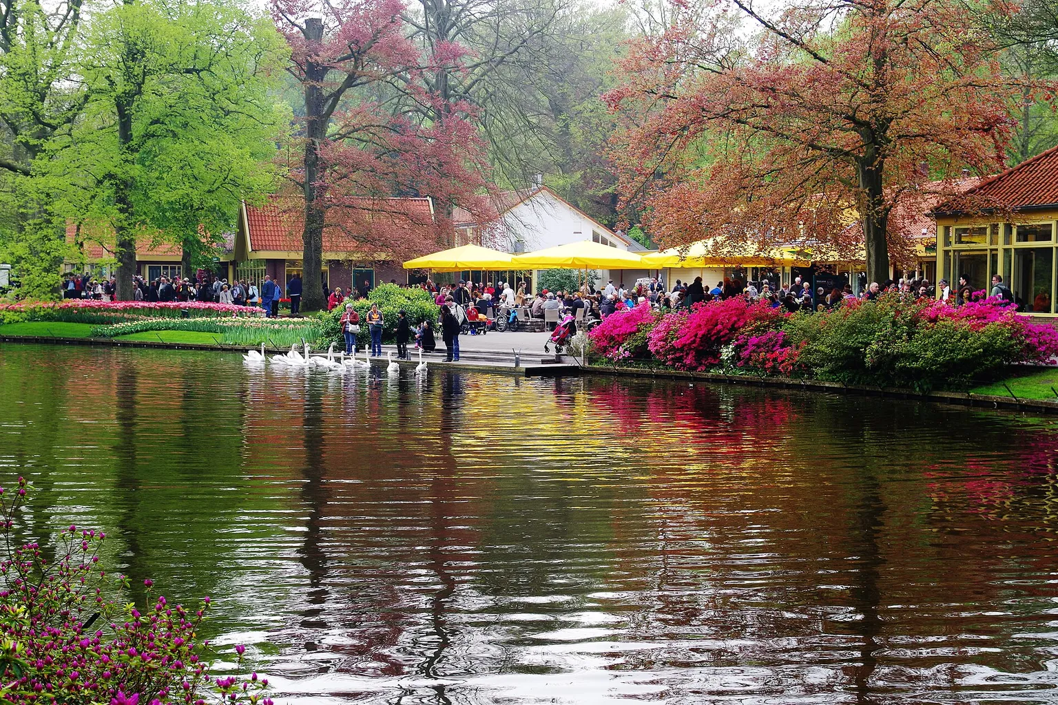 Keukenhof visite : le jardin des tulipes vaut-il l'investissement ?