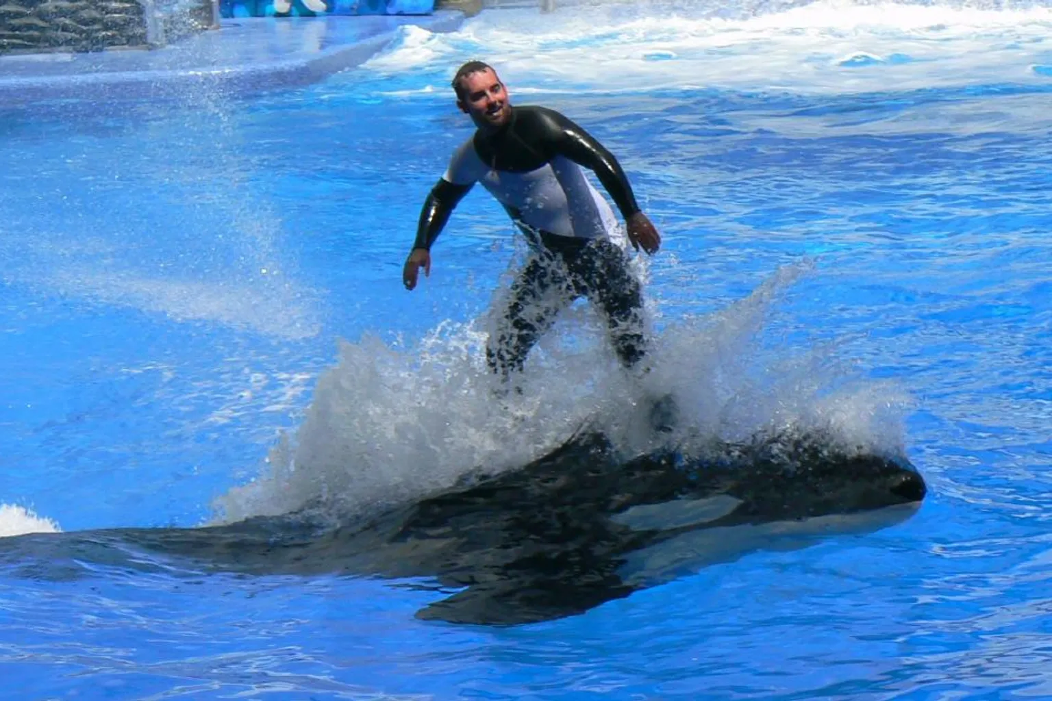 Billets SeaWorld Orlando : quelle option pour votre profil ?