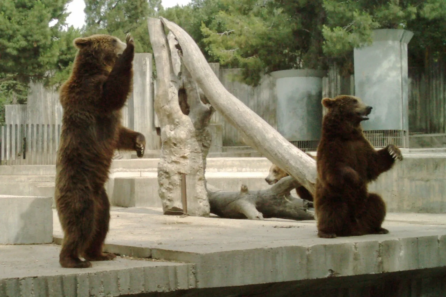 Zoo Aquarium de Madrid : trois méthodes pour réserver vos billets