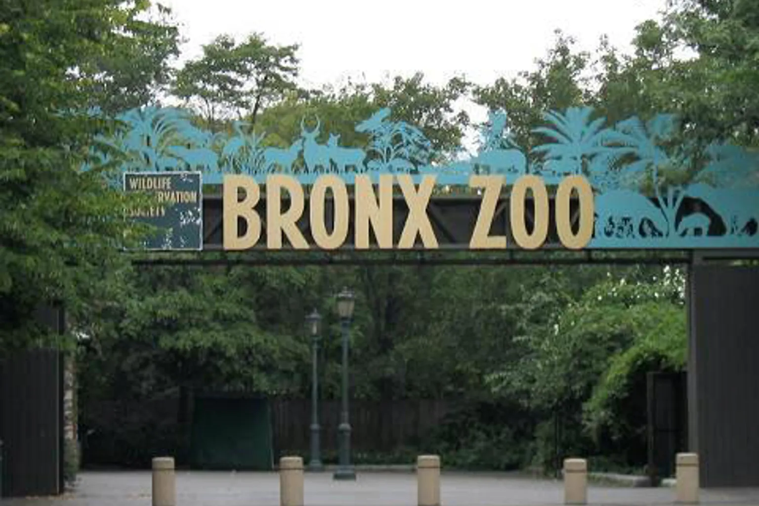 Zoo du Bronx visite : notre test des parcours et flux
